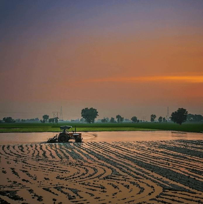 Alphazeta Farm