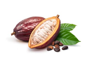 Cocoa