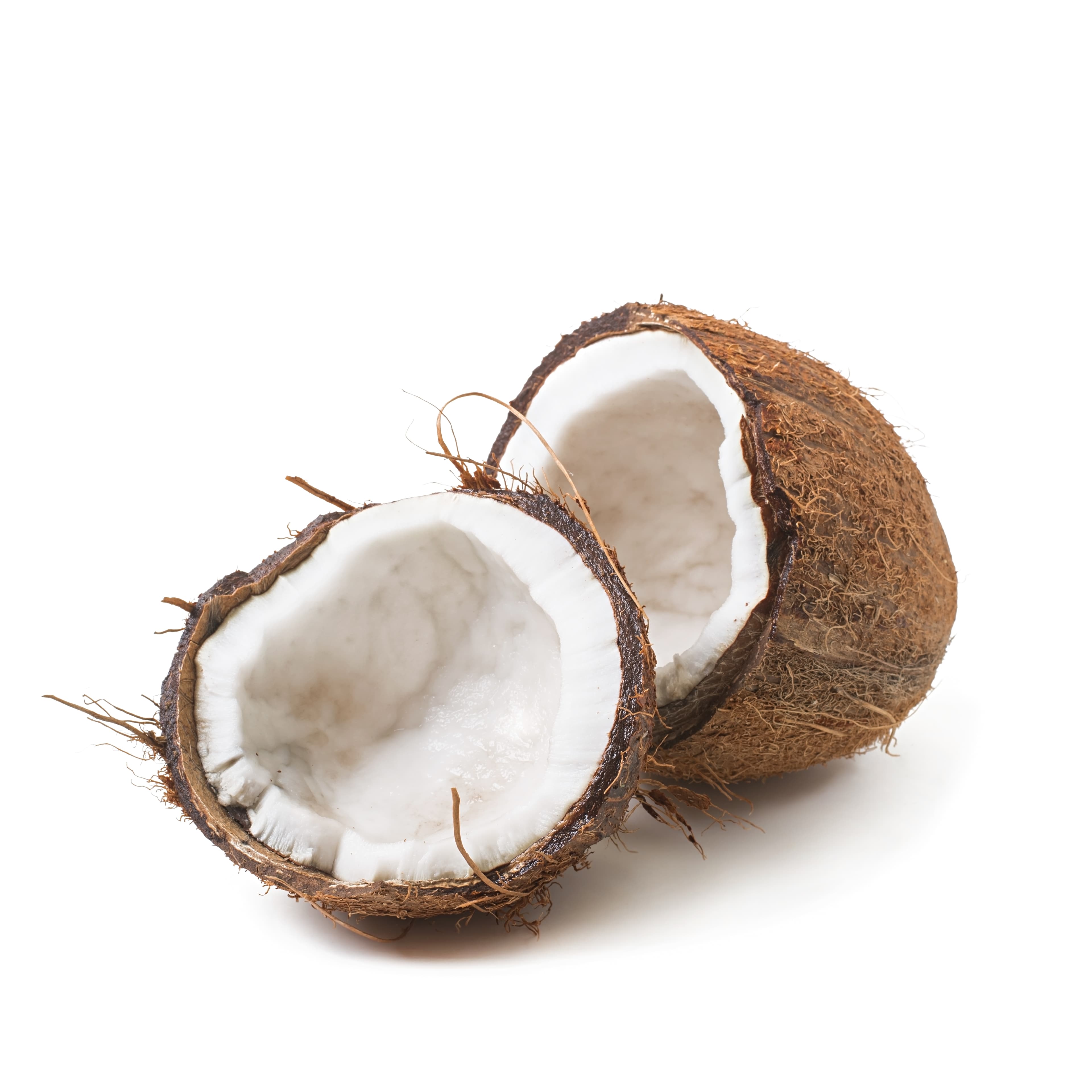 Coconut