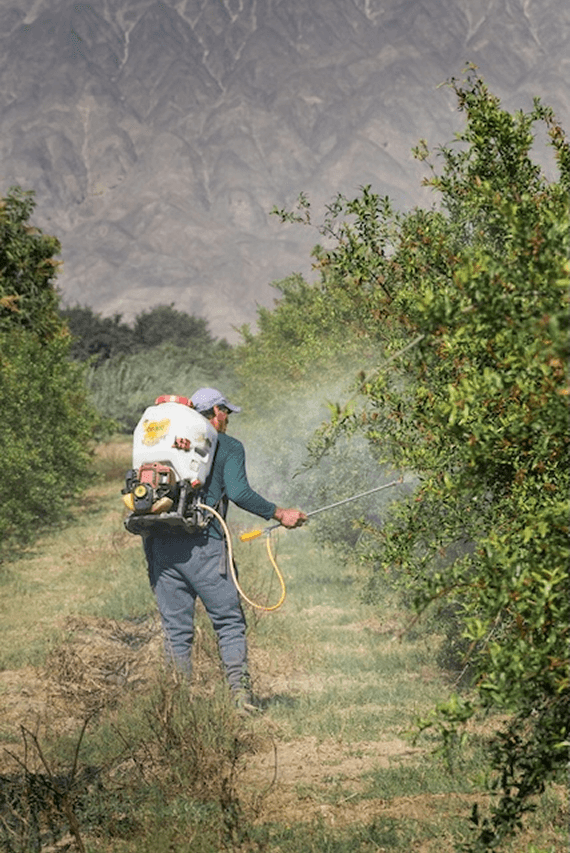 PEST & DISEASE MANAGEMENT